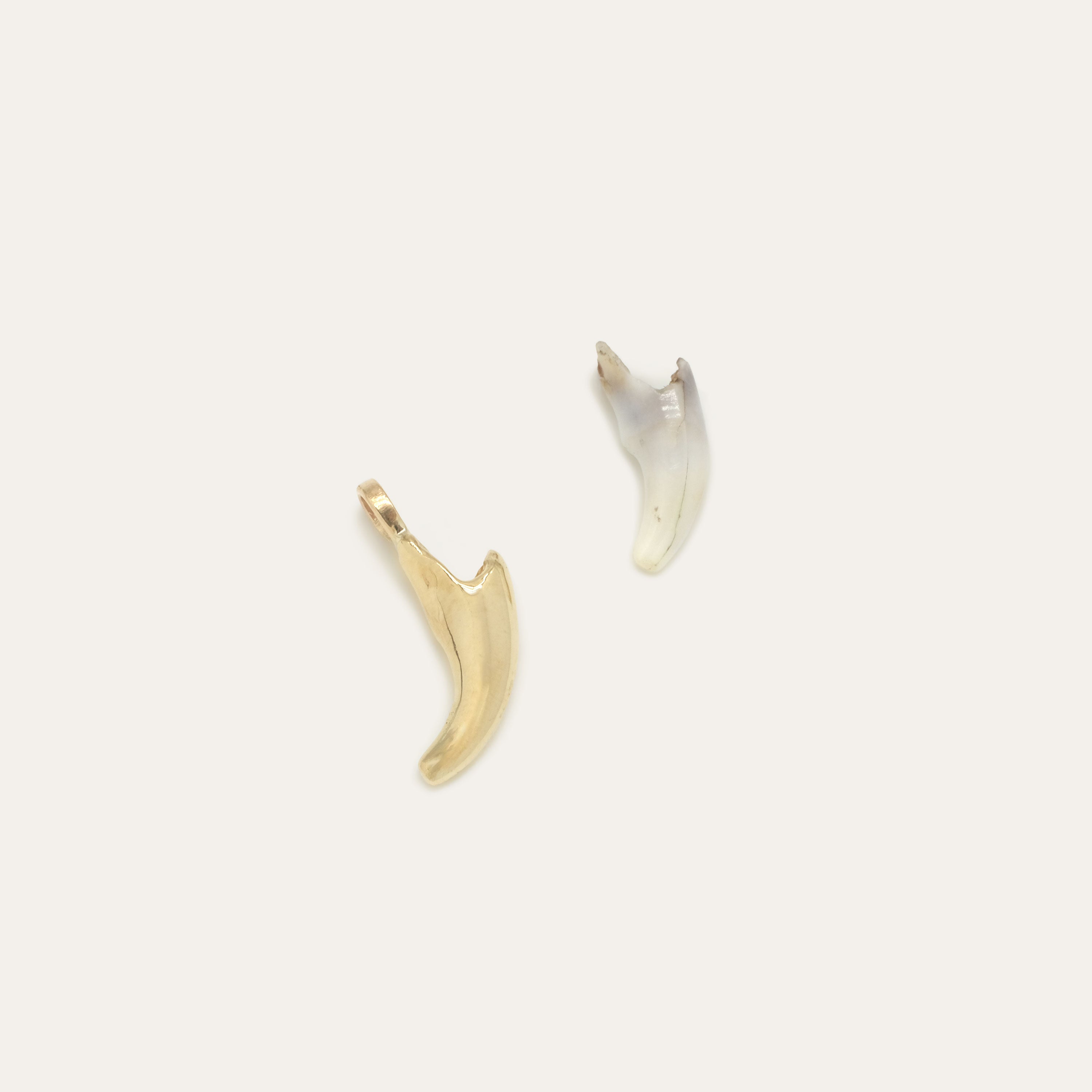 Custom Toof Charm