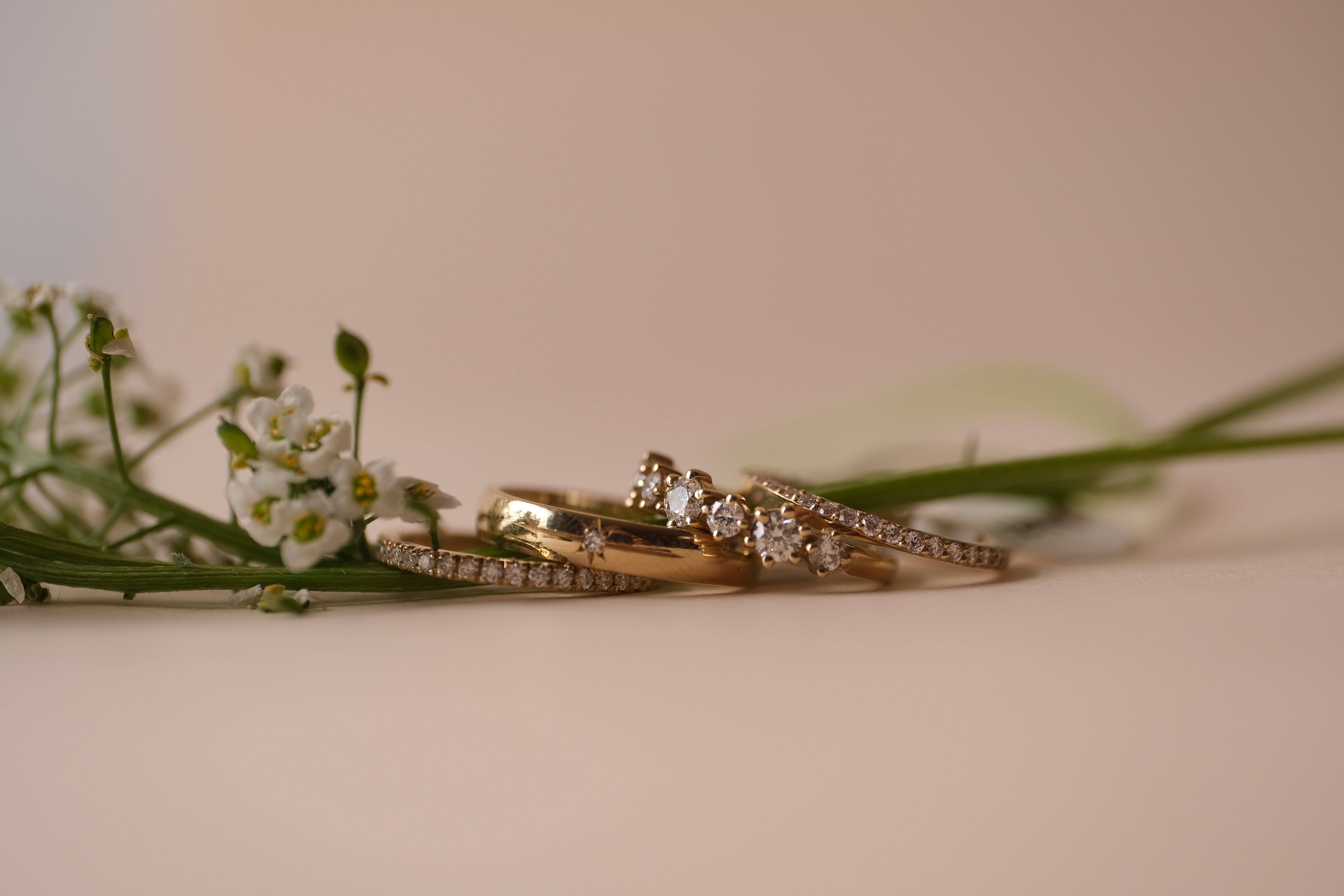Occasion Collection